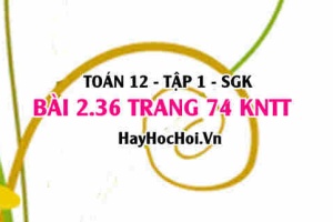 Bài 2.36 trang 74 Toán 12 tập 1 Kết nối tri thức